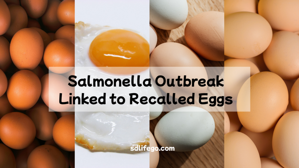 Salmonella Outbreak Linked to Recalled Eggs – What You Need to Know